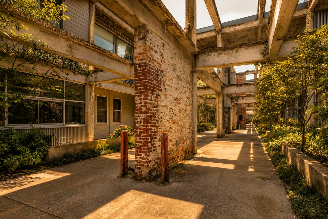 Weathered concrete beams and a brick pier in a planted courtyard, original structure left exposed